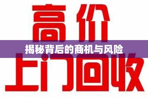莆田揭秘背后的商机与风险
