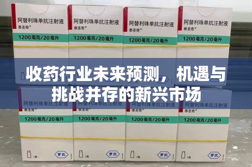 莆田收药行业未来预测，机遇与挑战并存的新兴市场