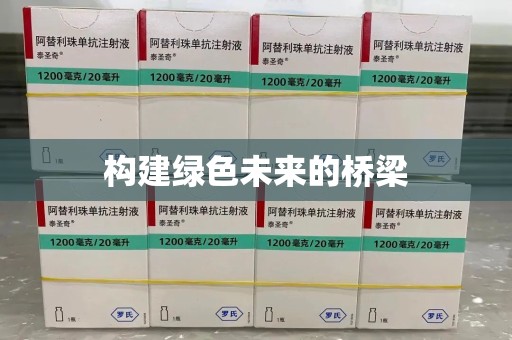 莆田构建绿色未来的桥梁