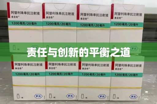 莆田责任与创新的平衡之道