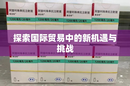 莆田探索国际贸易中的新机遇与挑战