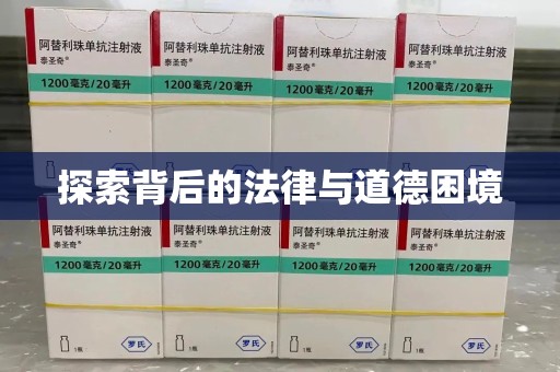 莆田探索背后的法律与道德困境